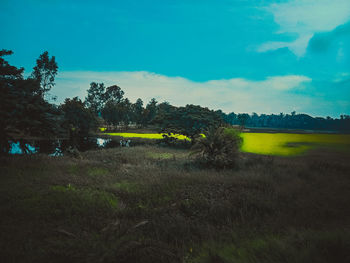 Scenic view of field against sky