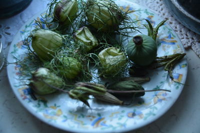 High angle view of plant pods with herb in plate on table