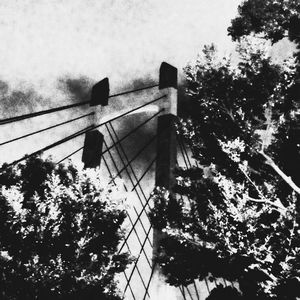 Low angle view of trees against sky