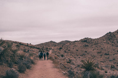 Hikers walking in desert