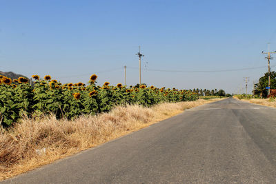 Road amidst plants against clear sky