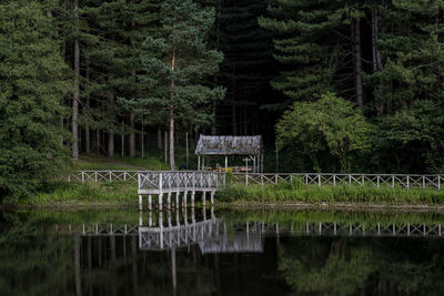 Scenic view of lake by trees in forest