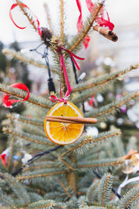 Diy handmade natural decoration made of orange slices and spices on christmas tree
