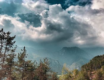 View of trees against cloudy sky