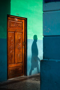 Shadow of man walking on wall