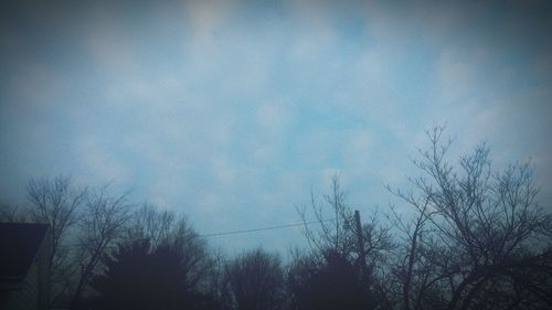 Low angle view of bare trees against sky