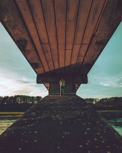 Rear view of man standing on bridge against sky