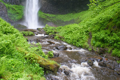 Stream flowing through rocks