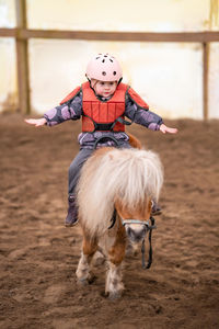 Close-up of horse on field