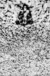 Full frame shot of white background