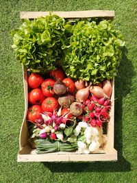 High angle view of fruits in basket