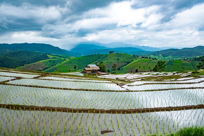 Scenic view of agricultural field against cloudy sky