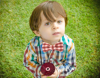 High angle portrait of cute boy holding gerbera daisy while standing on grassy field