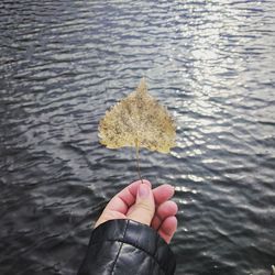 Close-up of hand holding autumn leaf over lake