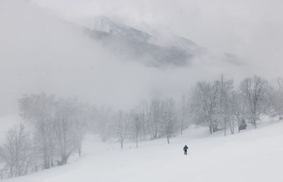 Skier in a valley with snowfall and fog