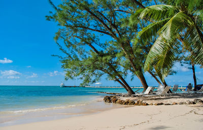 View of rum point beach against a blue sky 