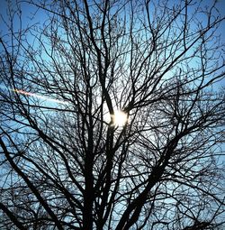 Low angle view of bare tree against sky