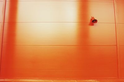 Megaphone on orange wall
