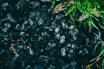 Full frame shot of rocks