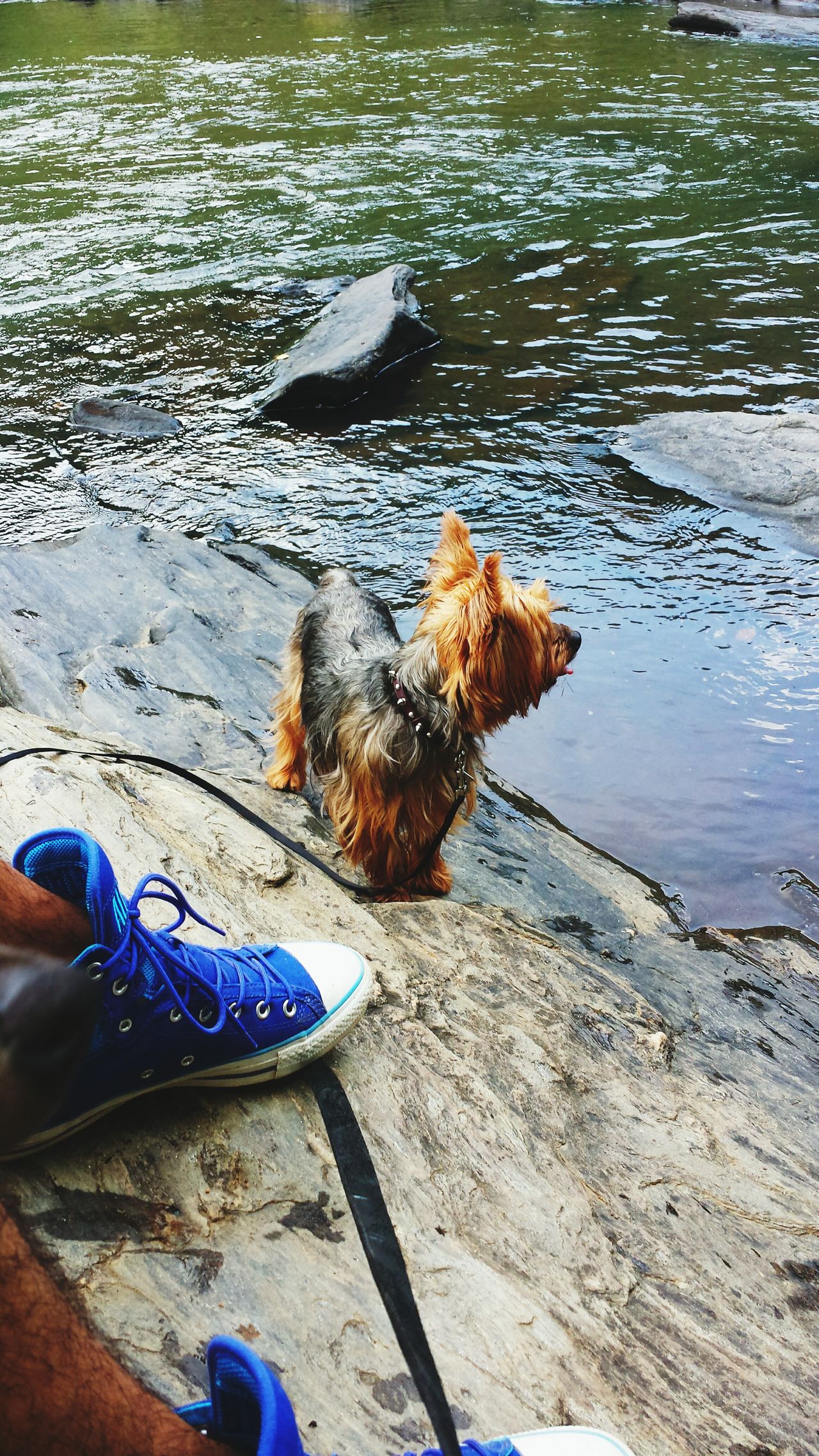 Sweetwater creek