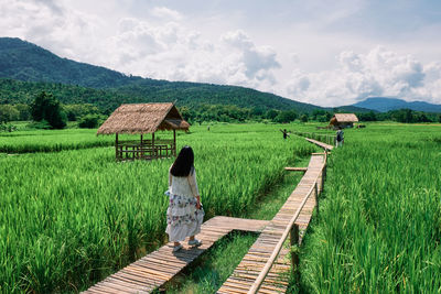 Scenic view of farm against sky