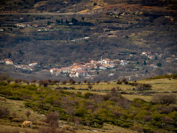 High angle view of buildings on field