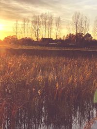 Scenic view of field against sky during sunset