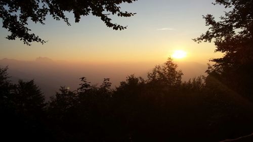 Silhouette trees in forest against sky at sunset