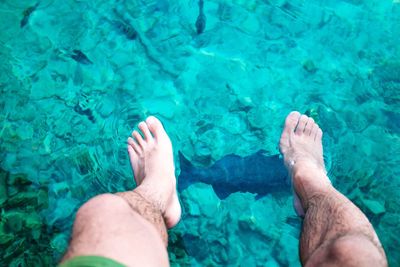 Low section of man legs in swimming pool