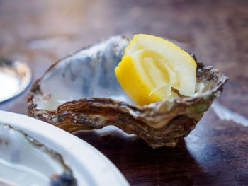 Close-up of slice in plate on table
