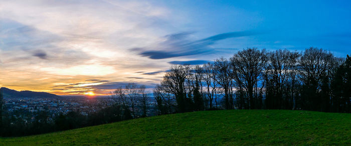 Trees on field against sky during sunset