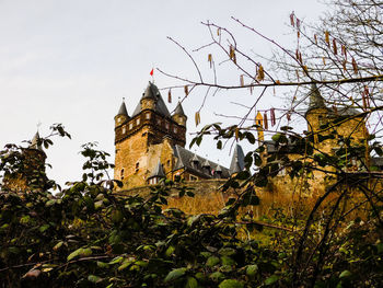 Low angle view of trees and building against sky