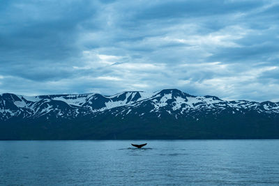 Scenic view of sea and snowcapped mountains against sky