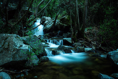 Stream flowing through rocks in forest