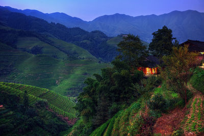 Scenic view of agricultural landscape against sky