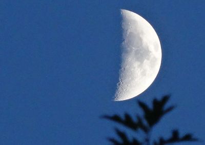 Low angle view of moon against blue sky