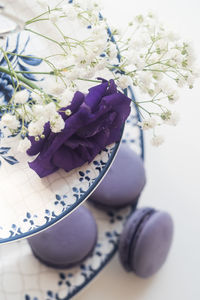 High angle view of purple flower vase on table
