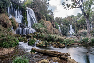 Scenic view of waterfall in forest