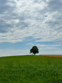 sky