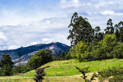 Scenic view of field against cloudy sky