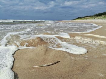 Scenic view of beach