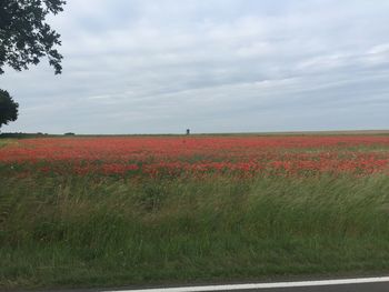 Scenic view of field against cloudy sky