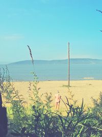 Scenic view of sea against clear sky