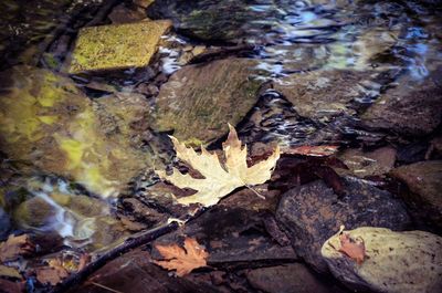 Rocks in water