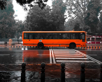 Wet road by trees in city during rainy season