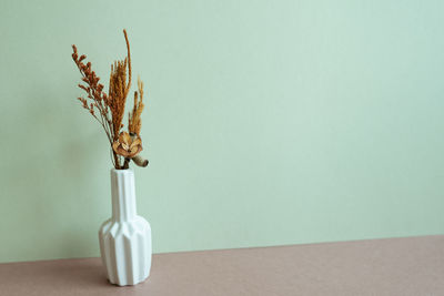 Close-up of plant on table