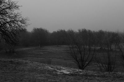 Bare trees on field against clear sky during winter