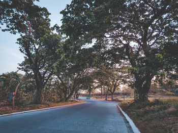 Road amidst trees against sky in city