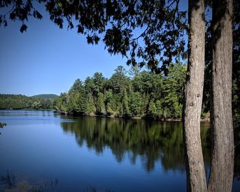 Scenic view of lake against clear blue sky