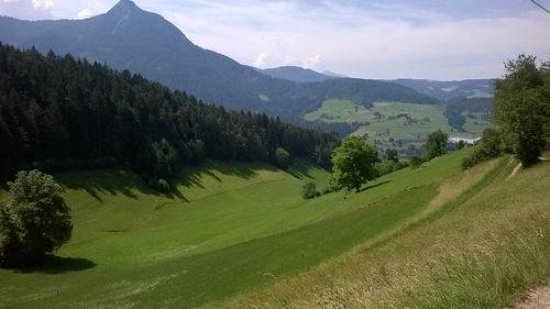 Scenic view of landscape against sky